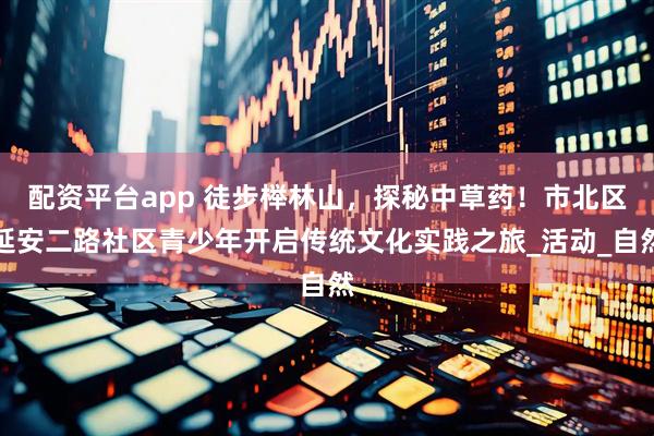 配资平台app 徒步榉林山，探秘中草药！市北区延安二路社区青少年开启传统文化实践之旅_活动_自然