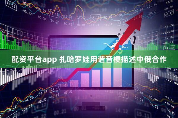 配资平台app 扎哈罗娃用谐音梗描述中俄合作