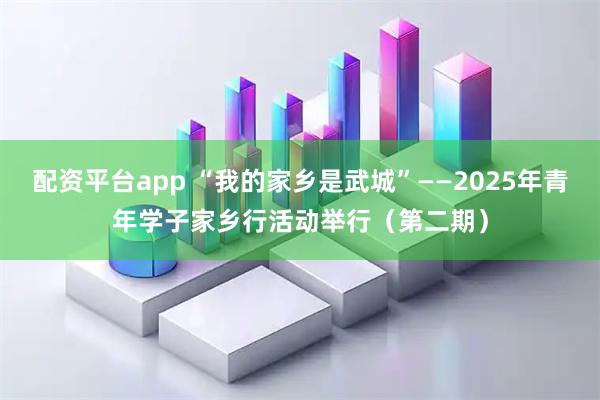 配资平台app “我的家乡是武城”——2025年青年学子家乡行活动举行（第二期）