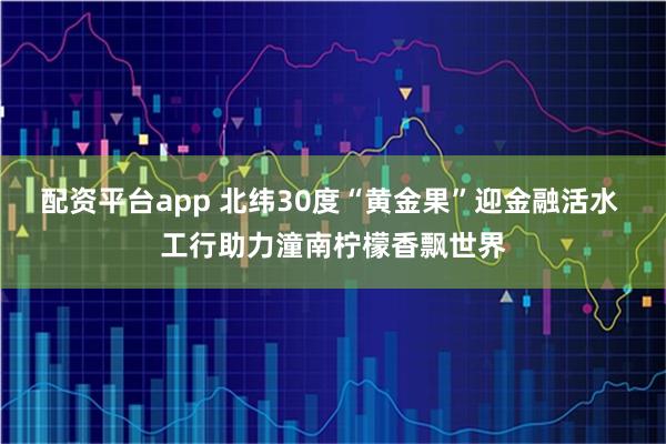 配资平台app 北纬30度“黄金果”迎金融活水 工行助力潼南柠檬香飘世界